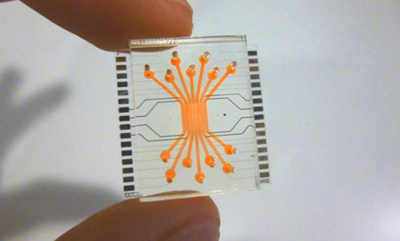 Un microchip microfluídico para estudiar la retinopatía diabética