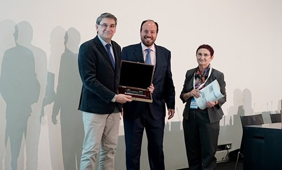 Investigadores CIBERDEM premiados por la Fundación de la Sociedad Española de Diabetes