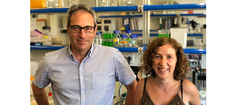 Un estudio identifica cuarenta genes relacionados con la conducta agresiva en humanos y en ratones