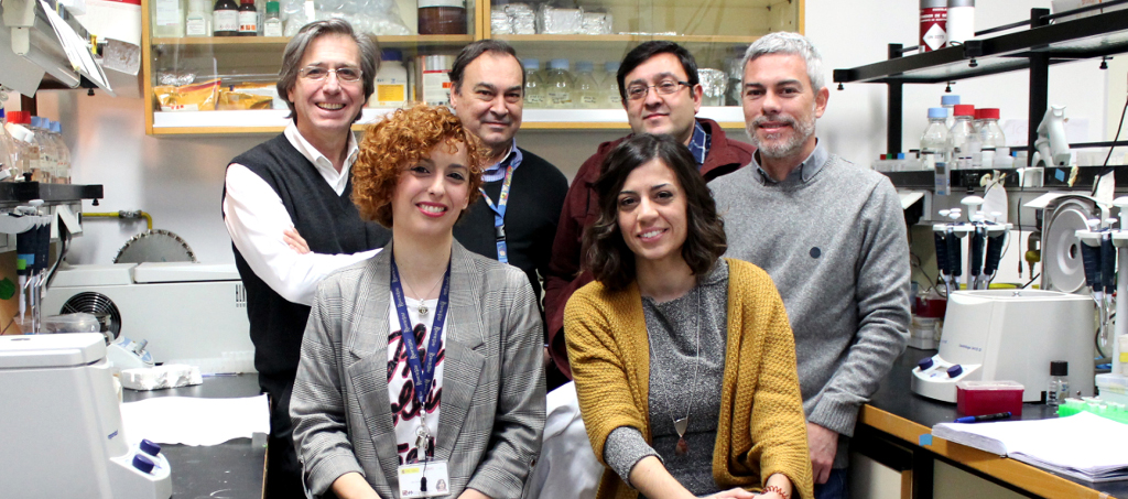 Identifican mutaciones genéticas que causan una nueva miopatía congénita