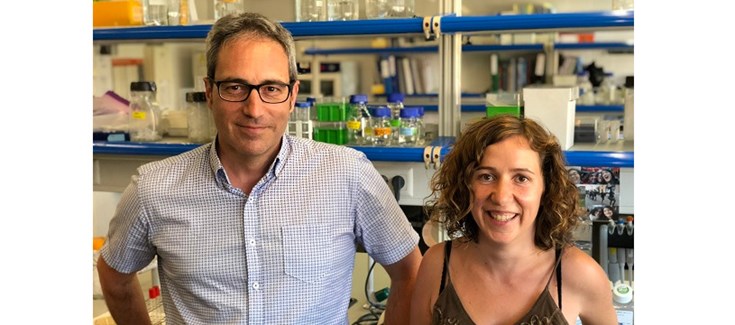 Un gen implicado en el TDAH podría estar relacionado con el consumo de sustancias adictivas