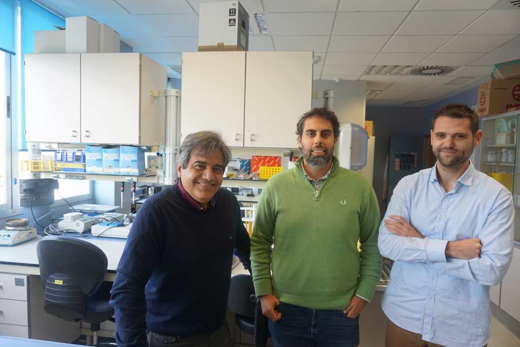 Descubren un nuevo factor asociado al desarrollo de la diabetes tipo 2