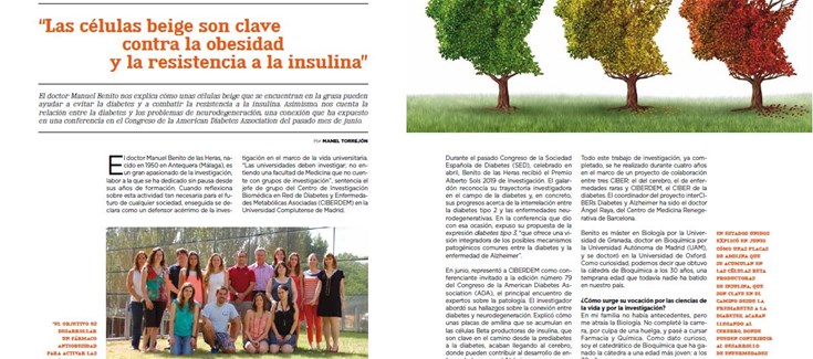 productos para la diabetes amilina