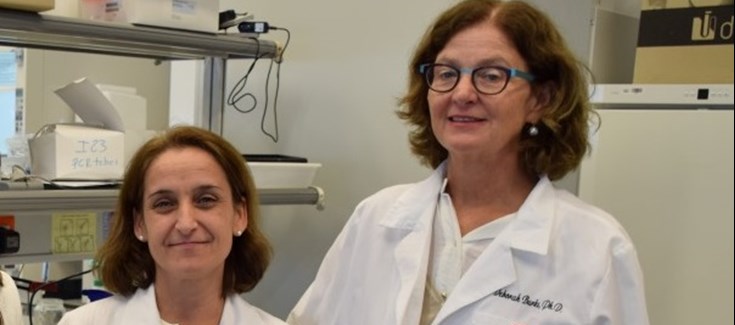 higado graso no alcoholico y diabetes
