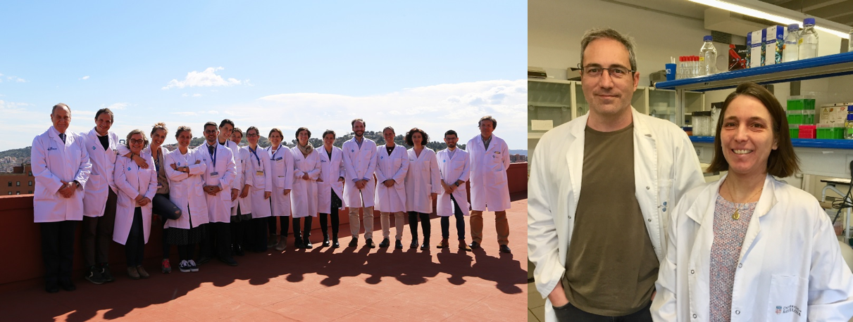 Un estudio internacional perfila el mapa genético  más amplio conocido hasta ahora sobre trastornos psiquiátricos