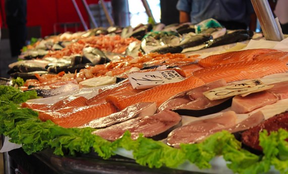 Describen un mecanismo por el cual comer pescado reduce el riesgo de enfermedades cardiovasculares