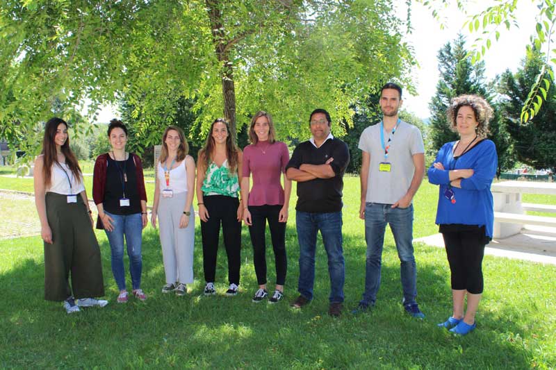 Presentan nuevas dianas terapéuticas para tratar un cáncer altamente agresivo del sistema nervioso