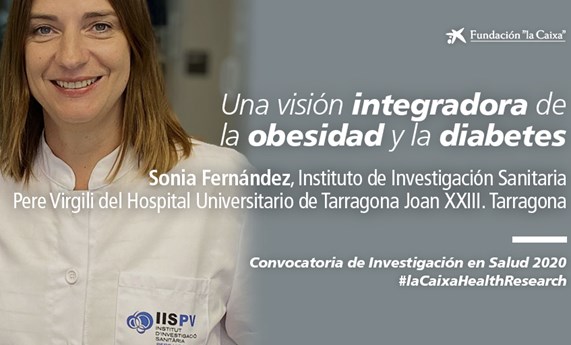 Sonia Fernández-Veledo recibe 998.903 euros de "la Caixa" para estudiar la conexión metabólica intestino-tejido adiposo-cerebro