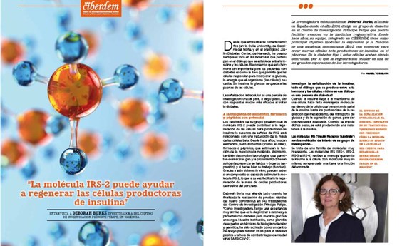 Deborah Burks: “La molécula IRS -2 puede ayudar a regenerar las células productoras de insulina”