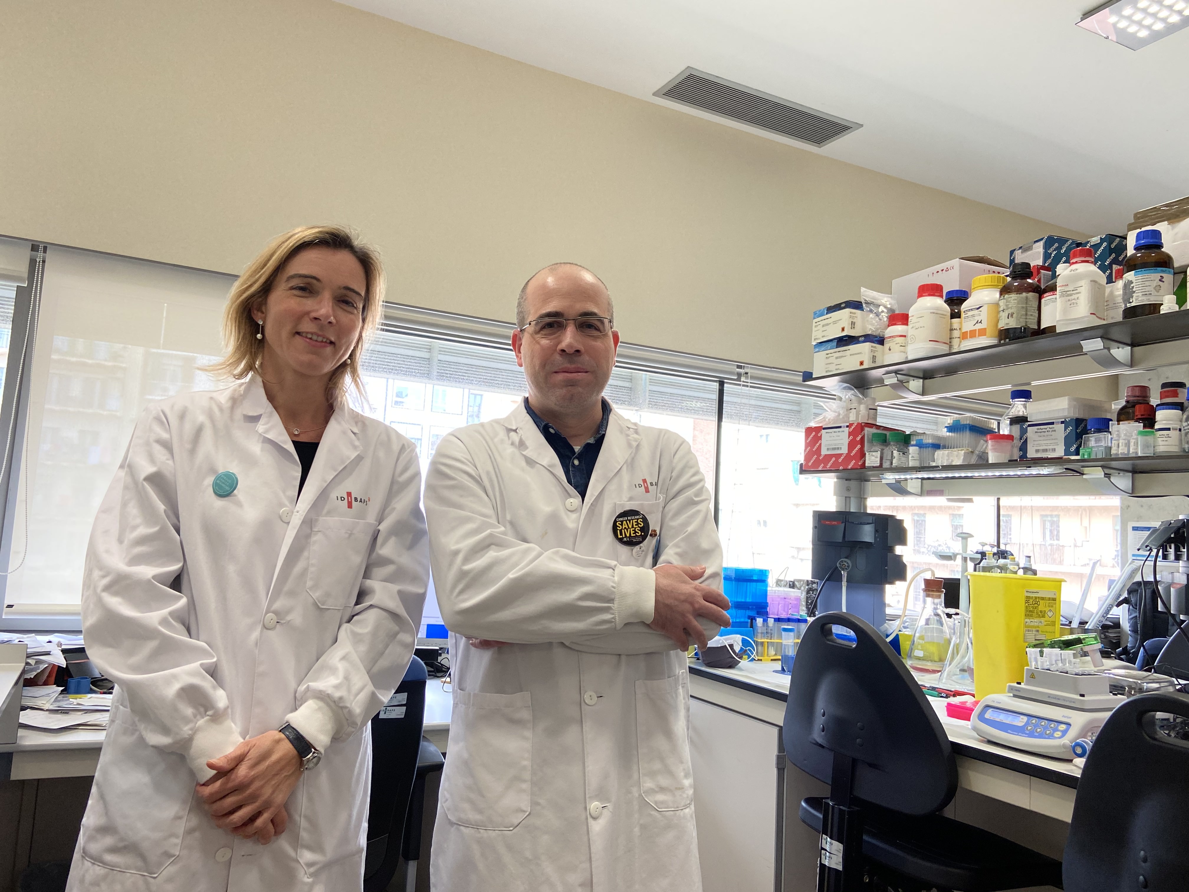 Analizan la interacción entre el linfoma folicular y su microambiente, proponiendo una nueva estatégia terapeutica