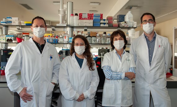 Investigadores del CIBERDEM participan en un proyecto europeo para crear una tecnología que integrará la RMN y la bioingeniería de órganos