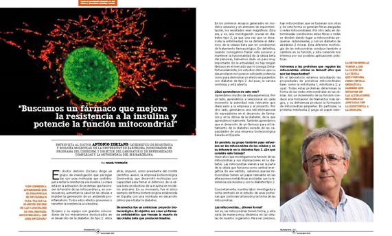 Antonio Zorzano: “Buscamos un fármaco que mejore la resistencia a la insulina y potencie la función mitocondrial”
