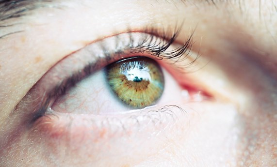 El ojo como ventana al cerebro: los cambios en la retina de los pacientes diabéticos pueden reflejar el riesgo de deterioro cognitivo