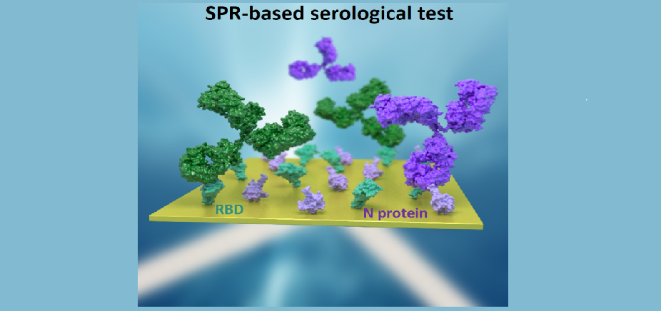Un nanobiosensor clínicamente validado permite realizar pruebas serológicas rápidas y cuantitativas de la COVID-19