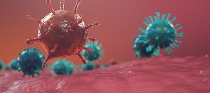 La irrupción de la COVID-19 ha aumentado un 68,5% las muertes del aparato respiratorio en 2020