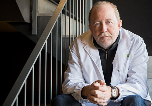 Descritas por primera vez las señales mecánicas implicadas en el desarrollo temprano de la corteza cerebral del ratón