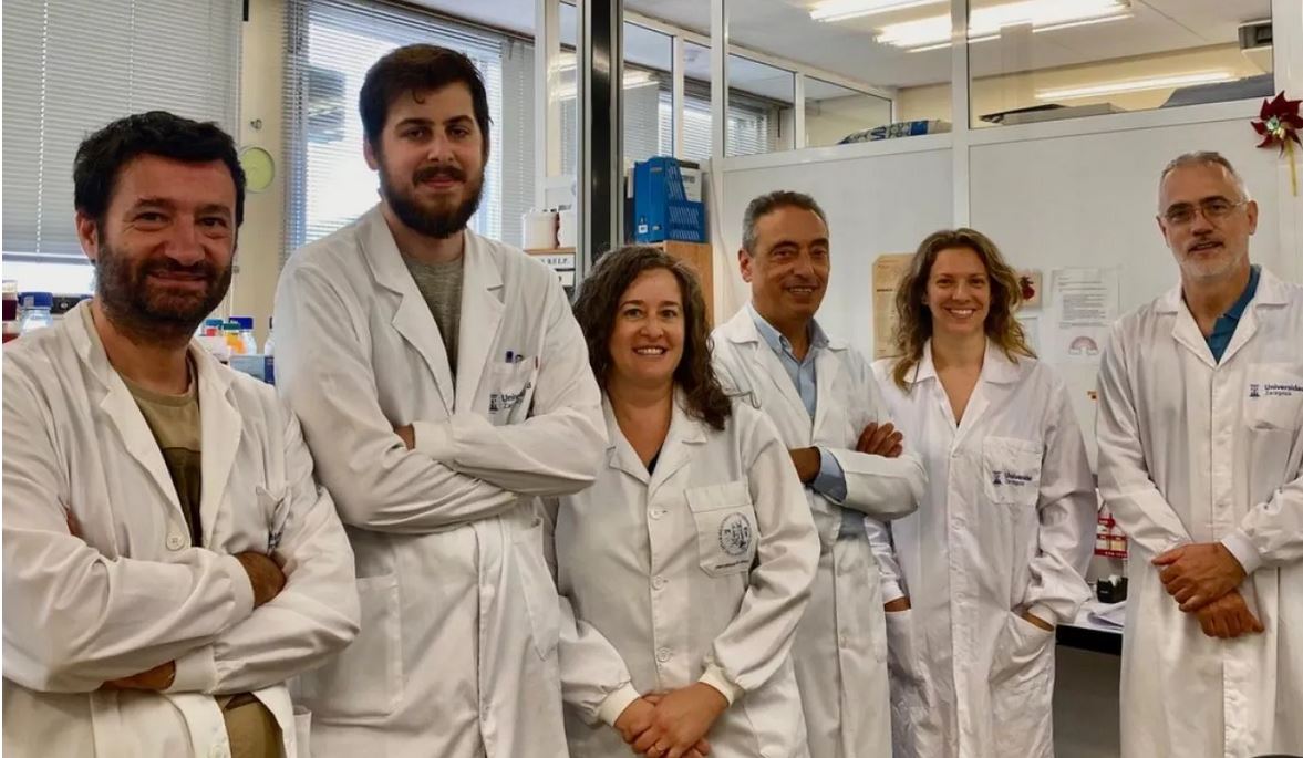 Demuestran la eficacia de la vacuna de la tuberculosis, MTBVAC, como inmunoterapia frente a tumores de vejiga resistentes al tratamiento actual