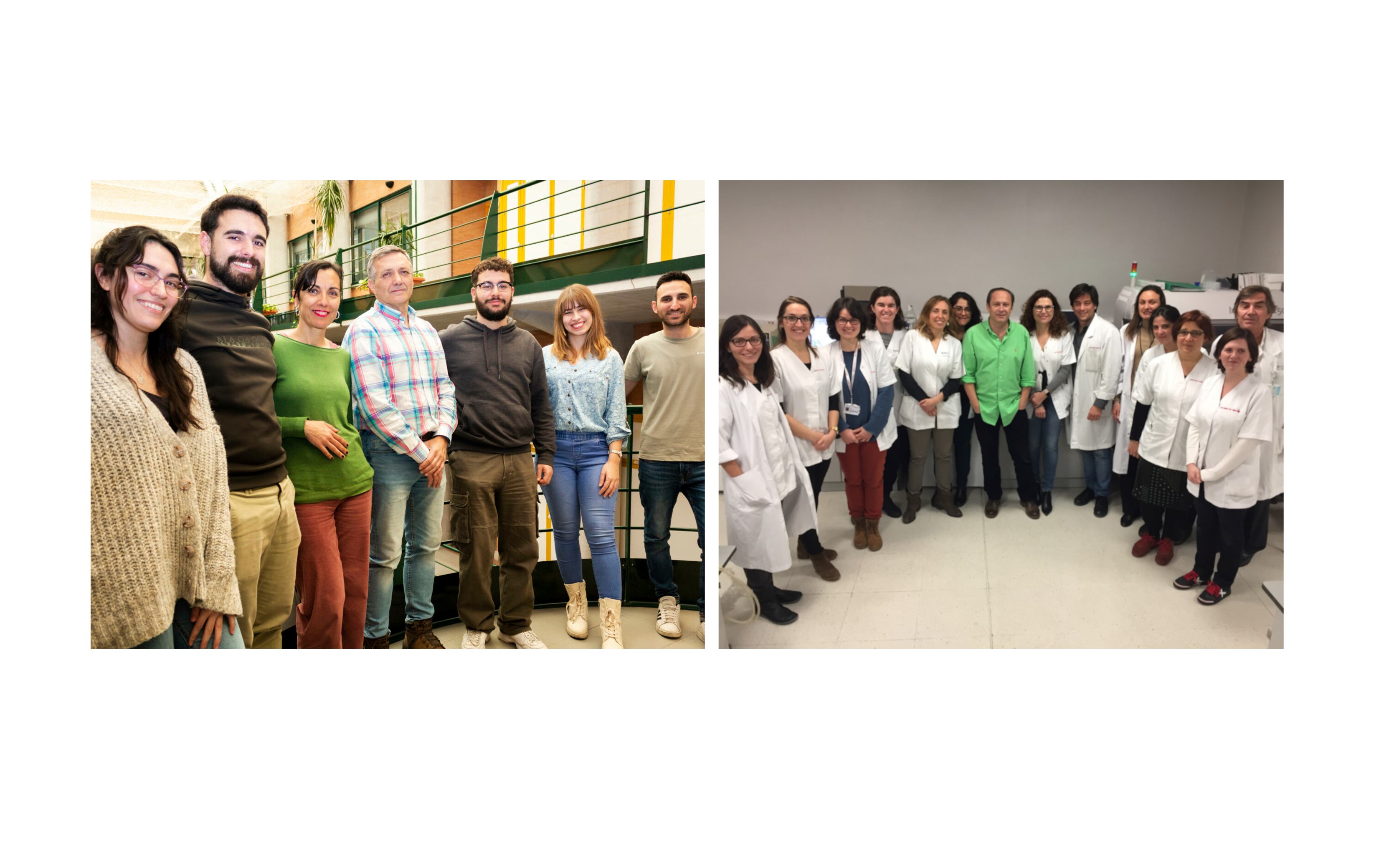 Las mutaciones en el gen 'GEMIN5' son responsables de la deficiencia de CoQ10, asociada a problemas de ataxia y alteraciones del neurodesarrollo