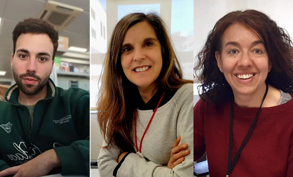 Un extracto de la aceituna reduce el daño oxidativo y la inflamación en personas con sobrepeso y prediabetes Un extracto de la aceituna reduce el daño oxidativo y la inflamación en personas con sobrepeso y prediabetes