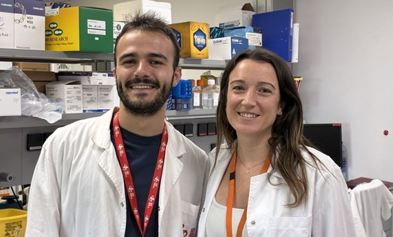 Describen el impacto clínico y molecular de mutaciones en genes clave para la replicación y reparación del ADN Describen el impacto clínico y molecular de mutaciones en genes clave para la replicación y reparación del ADN