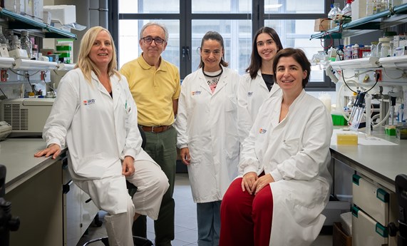 Nueva estrategia para combatir la obesidad mediante la activación de la grasa parda Nueva estrategia para combatir la obesidad mediante la activación de la grasa parda