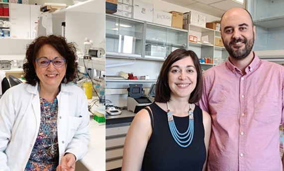 Un avance internacional liderado por el Centro de Investigación del Cáncer abre nuevas vías terapéuticas para el colangiocarcinoma Un avance internacional liderado por el Centro de Investigación del Cáncer abre nuevas vías terapéuticas para el colangiocarcinoma