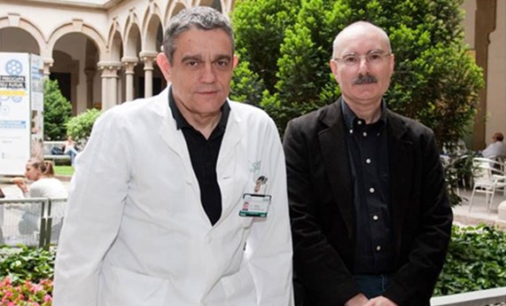 La hipoxia intermitente característica de la apnea de sueño reduce la fertilidad en ratones La hipoxia intermitente característica de la apnea de sueño reduce la fertilidad en ratones