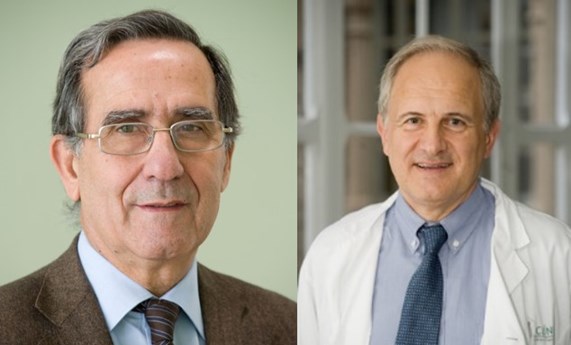 Miembros del CIBEREHD organizadores de la 11ª Reunión Internacional sobre Terapia en Enfermedades Hepáticas Miembros del CIBEREHD organizadores de la 11ª Reunión Internacional sobre Terapia en Enfermedades Hepáticas