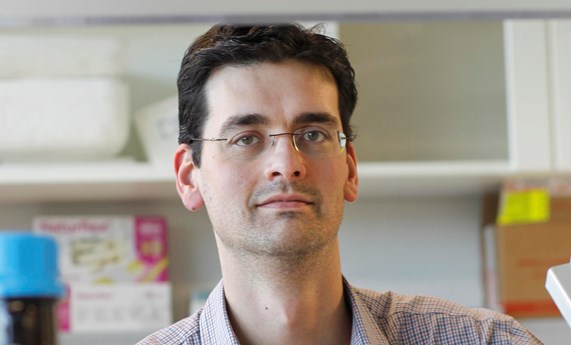 El investigador del CIBEROBN, Rubén Nogueiras, premiado con el ‘Rising Star’ de la Fundación europea para el estudio de la Diabetes El investigador del CIBEROBN, Rubén Nogueiras, premiado con el ‘Rising Star’ de la Fundación europea para el estudio de la Diabetes