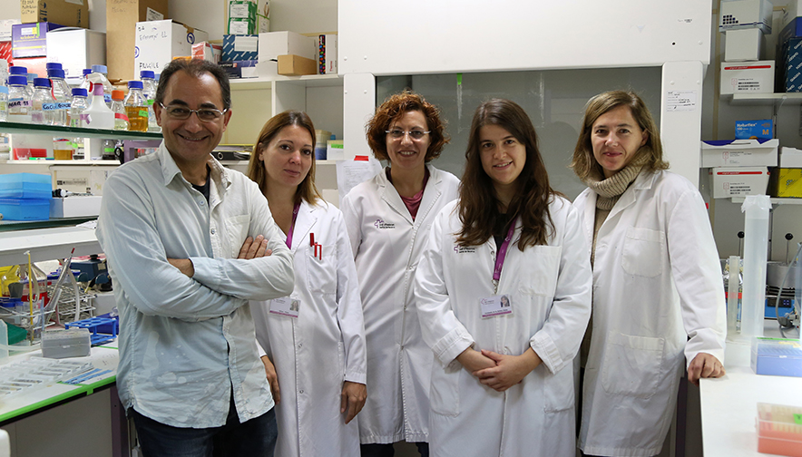 Desarrollan una metodología para mejorar la respuesta al tratamiento del cáncer de mama y colon con nanomedicina