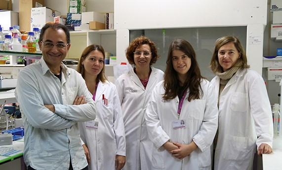 Desarrollan una metodología para mejorar la respuesta al tratamiento del cáncer de mama y colon con nanomedicina Desarrollan una metodología para mejorar la respuesta al tratamiento del cáncer de mama y colon con nanomedicina