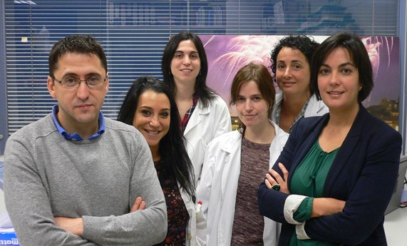 El CIBEROBN demuestra por primera vez la relación directa entre obesidad y cáncer de mama El CIBEROBN demuestra por primera vez la relación directa entre obesidad y cáncer de mama