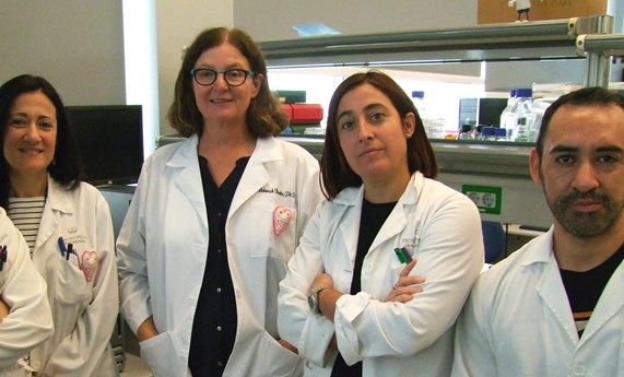 El Centro Príncipe Felipe investiga un tratamiento no invasivo para la retinopatía diabética El Centro Príncipe Felipe investiga un tratamiento no invasivo para la retinopatía diabética