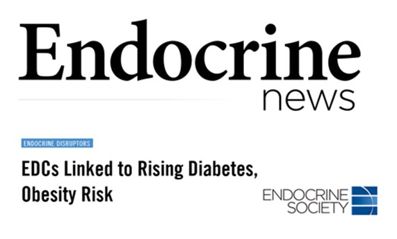 El CIBERDEM participa en una declaración científica de la Sociedad de Endocrinología sobre Disruptores endocrinos