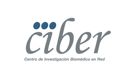 El CIBERDEM participa en los tres proyectos de excelencia interdisciplinares CIBER financiados con casi 2 millones de euros por la AES