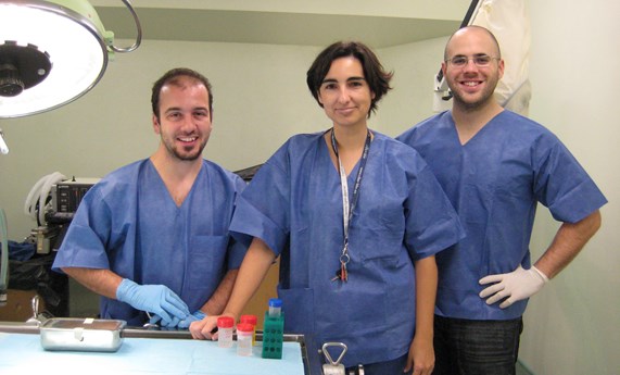 Vidrios biológicos en 3D para regenerar huesos Vidrios biológicos en 3D para regenerar huesos