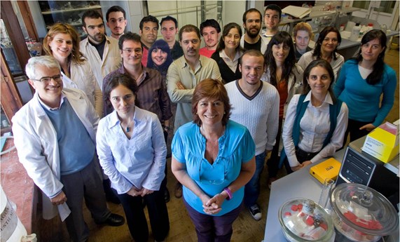 Un proyecto que desarrollará nanomedicinas dirigidas al Neuroblastoma, uno de los premiados del programa IDEA2 2015 Un proyecto que desarrollará nanomedicinas dirigidas al Neuroblastoma, uno de los premiados del programa IDEA2 2015