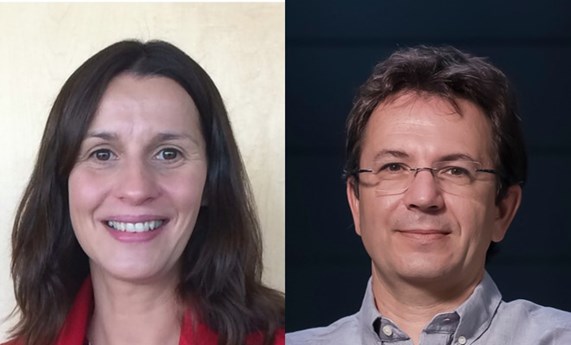 Descubren un posible tratamiento para la cirrosis Descubren un posible tratamiento para la cirrosis