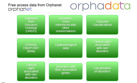 Orphadata se actualiza para mostrar de manera más accesible los datos de Orphanet Orphadata se actualiza para mostrar de manera más accesible los datos de Orphanet