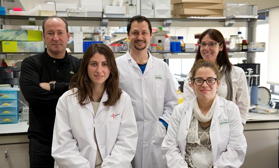 Describen el papel de los lisosomas en la toxicidad hepática del paracetamol Describen el papel de los lisosomas en la toxicidad hepática del paracetamol