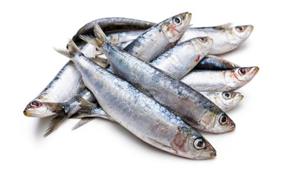 Un estudio revela que los ácidos grasos omega-3 reducen la probabilidad de muerte cardiovascular Un estudio revela que los ácidos grasos omega-3 reducen la probabilidad de muerte cardiovascular