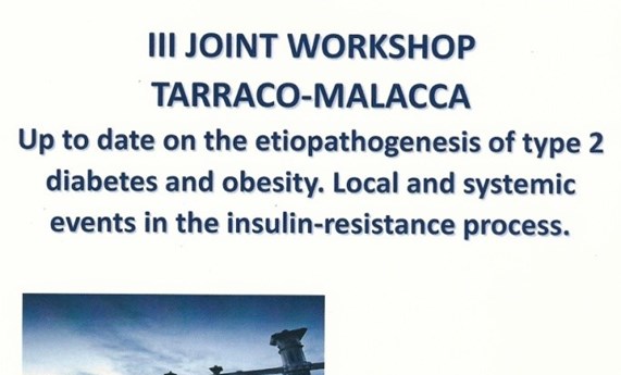 Actividad conjunta CIBERDEM y CIBEROBN: III Joint Workshop Tarraco-Malacca