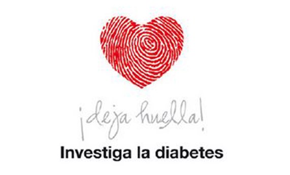 «Investiga la Diabetes» colabora impulsando la investigación del CIBERDEM «Investiga la Diabetes» colabora impulsando la investigación del CIBERDEM