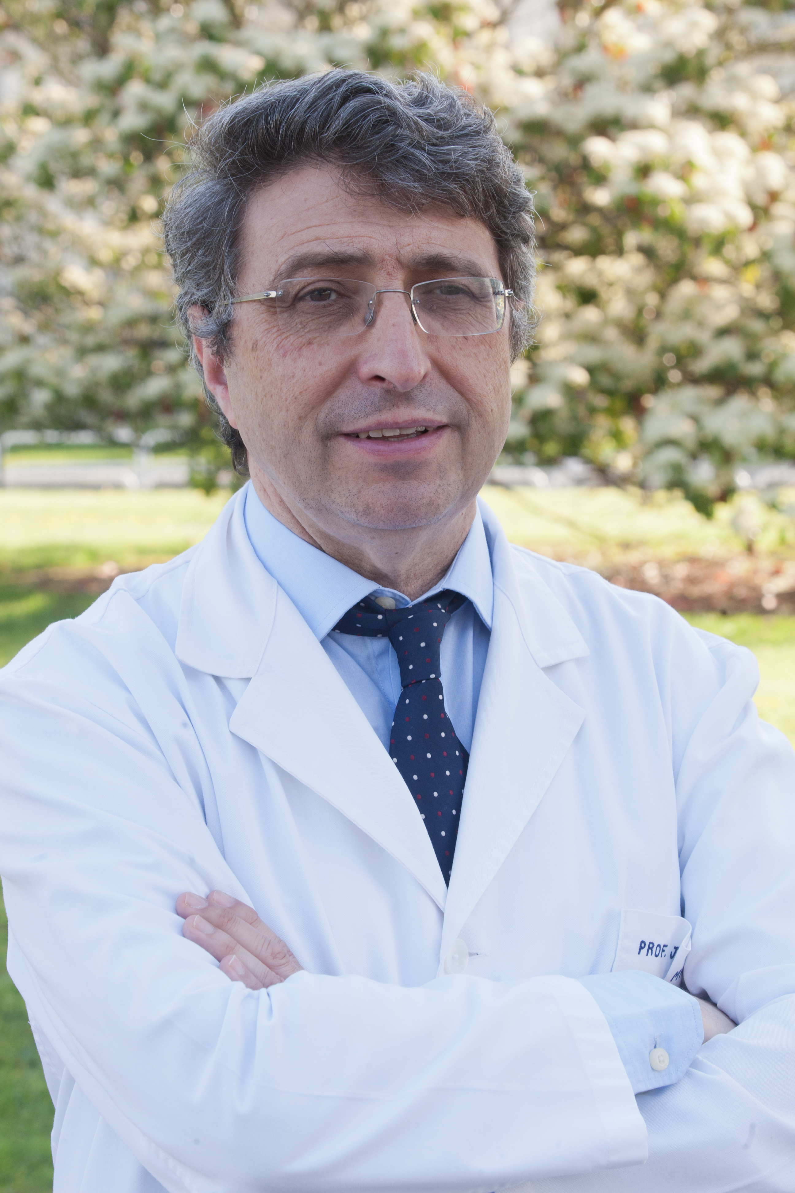 Analizan los efectos beneficiosos del cacao contra la obesidad