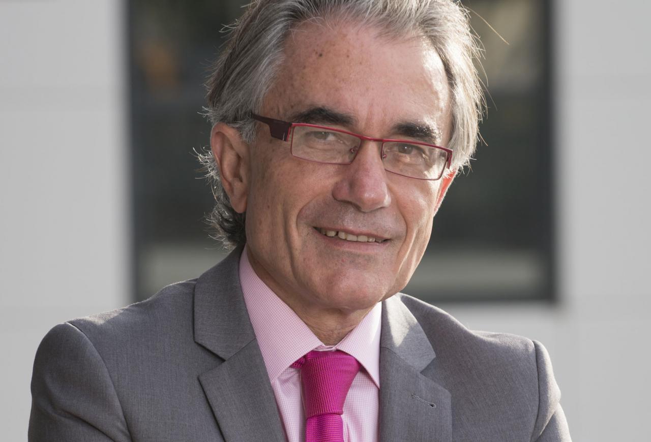 Hemos obtenido una sonda fluorescente que facilita el diagnóstico de las infecciones fúngicas y es aplicable también a otros patógenos