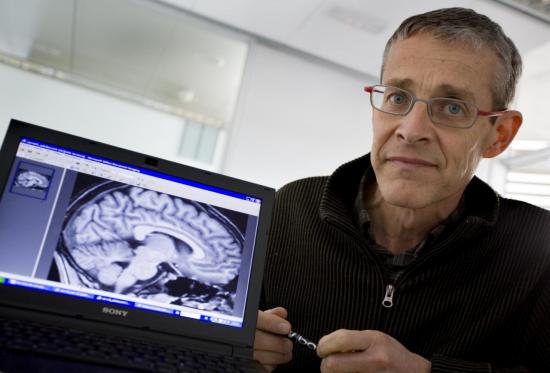 En la epidemia de obesidad infantil en España, además de la dieta y el sedentarismo, puede estar jugando un papel la exposición a disruptores hormonales