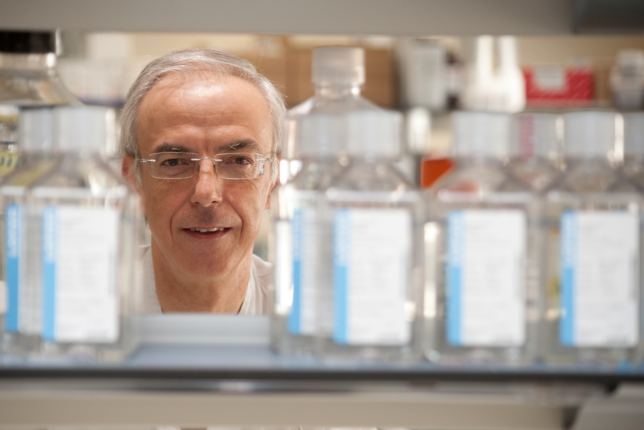 Evalúan la eficacia de tofacitinib para la inducción y mantenimiento de la remisión en la colitis ulcerosa